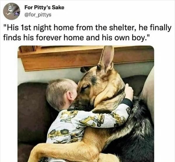 A wholesome picture of a German Shepherd rescue dog giving its "new boy" a giant hug on its first night home.