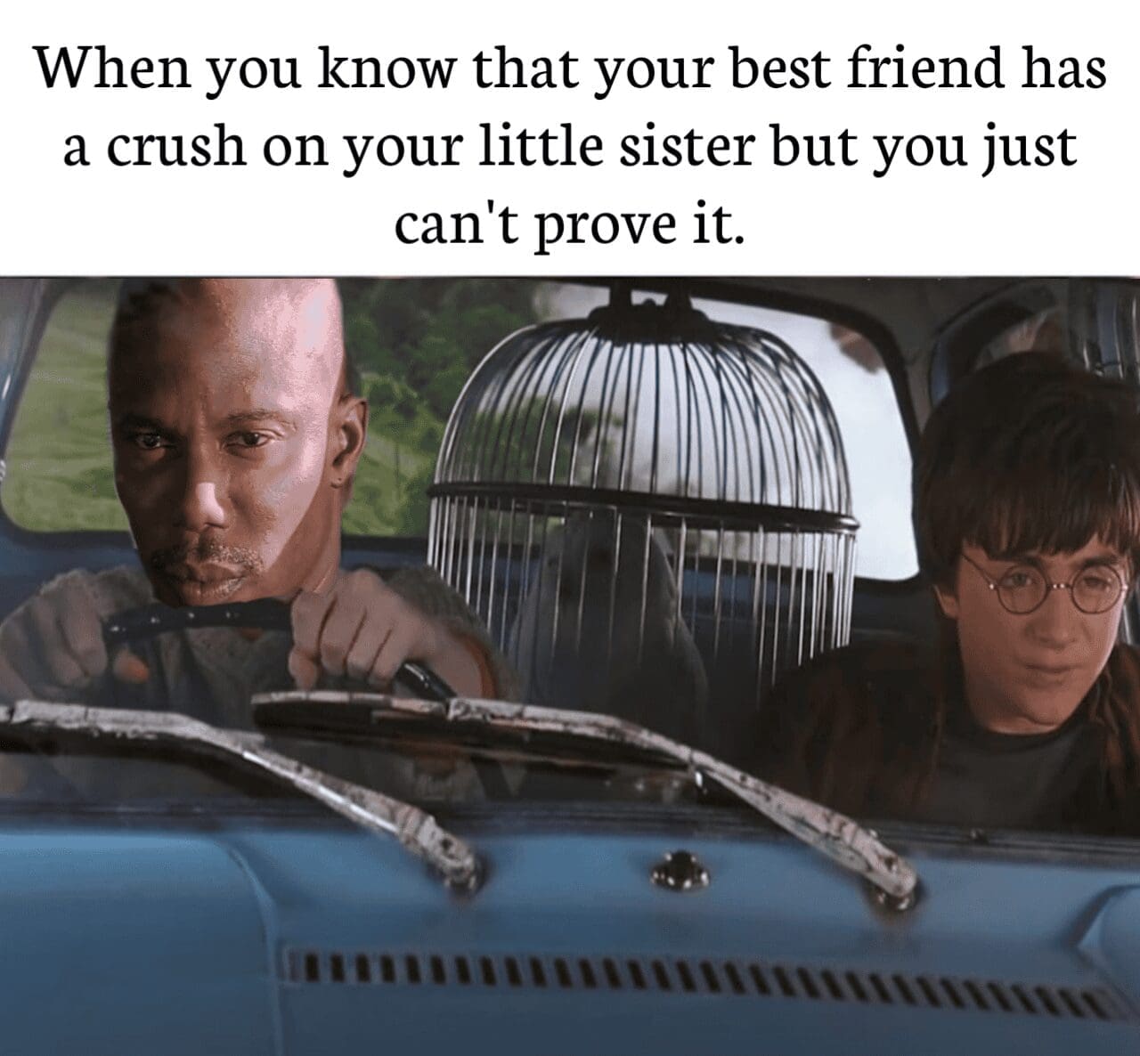 A Harry Potter meme photoshopping Tyrese Gibson into the flying car, joking about Ron's crush on Ginny