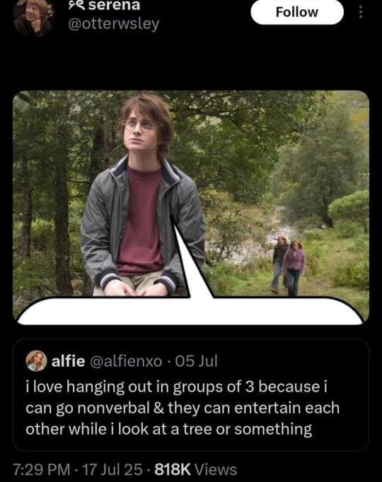 A Harry Potter meme and viral tweet about being the "nonverbal" friend in a trio, like Harry with Ron and Hermione