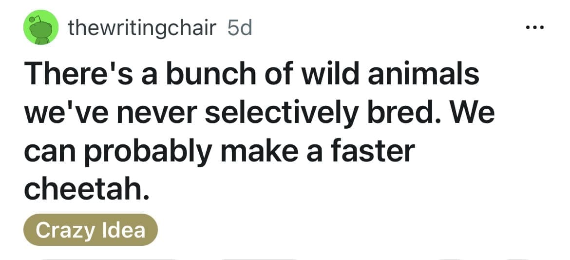 Crazy idea Reddit post suggesting humans could selectively breed an even faster cheetah.