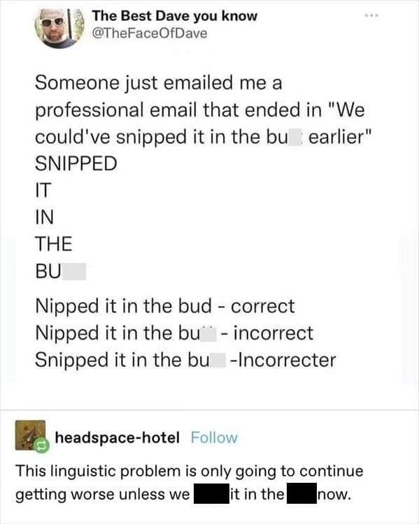Tweet about nipping it in the bud phrase being incorrectly corrected to butt.