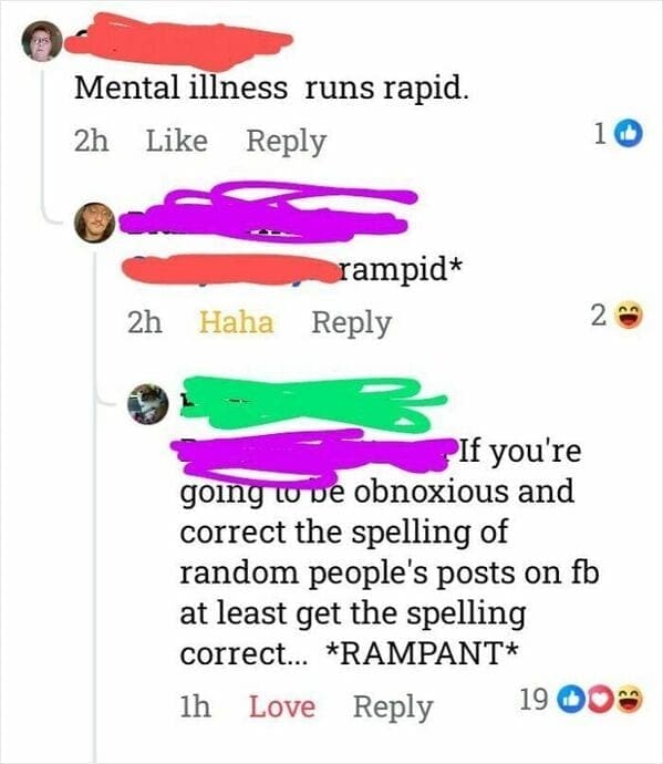Facebook comment correcting the word rampant to rampid in a post about mental illness.