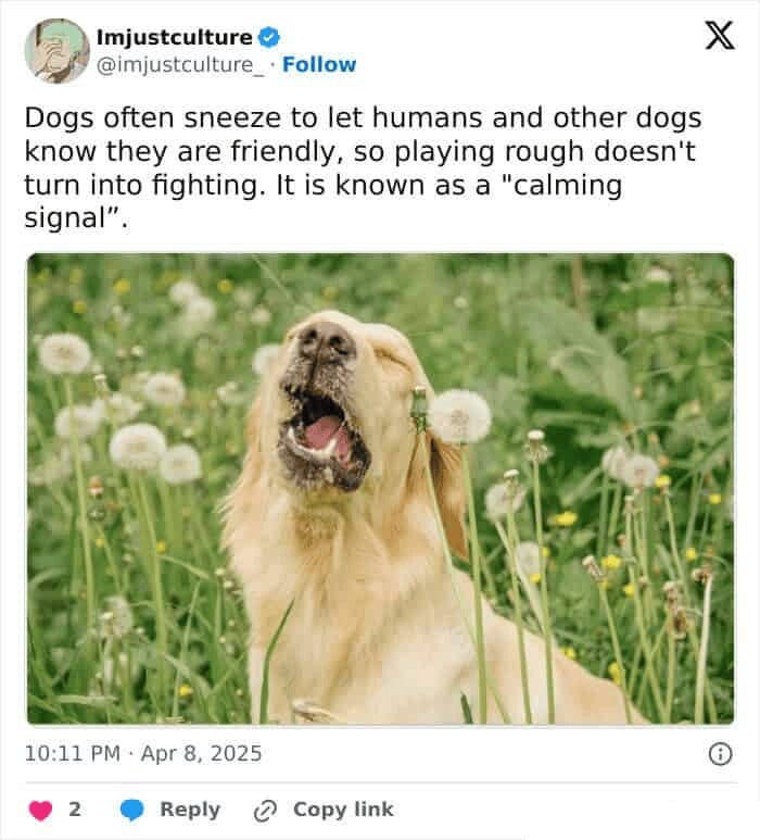 An interesting post showing a "bismuth" crystal that looks like a futuristic, iridescent city