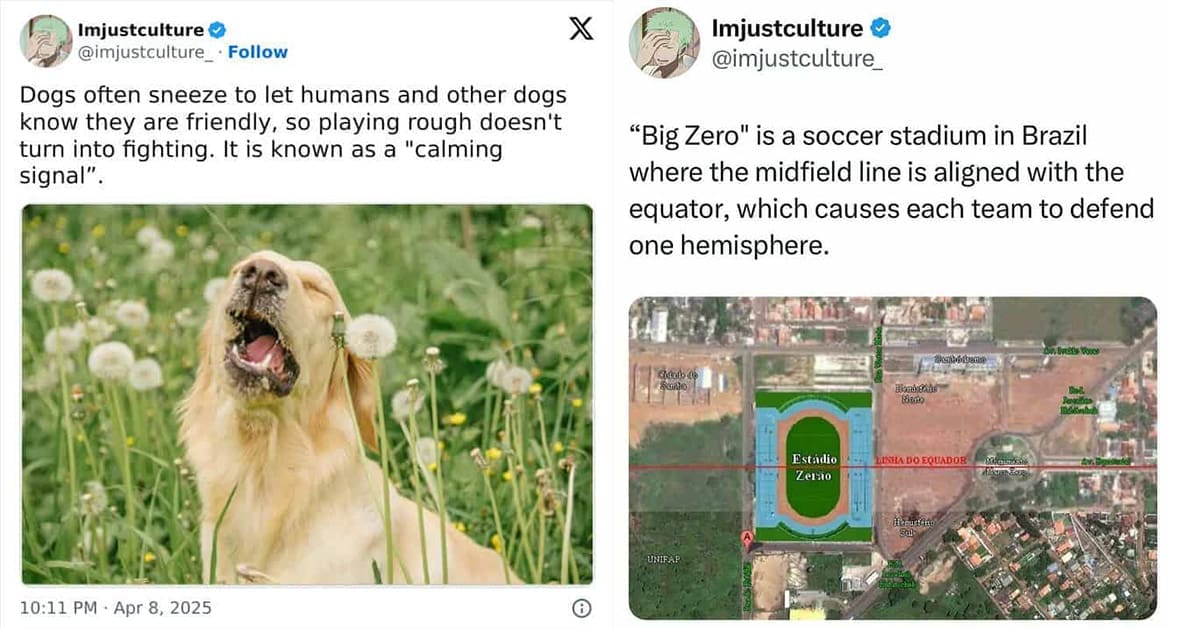 A gallery of interesting posts and fascinating tweets about science, history, and nature.