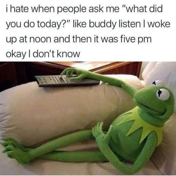 An introvert meme of Kermit the Frog on the couch, joking about "what did you do today?"