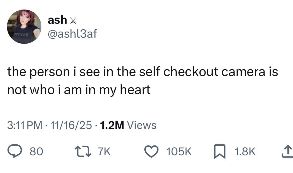 Hilarious meme about the unflattering angles of grocery store self-checkout cameras