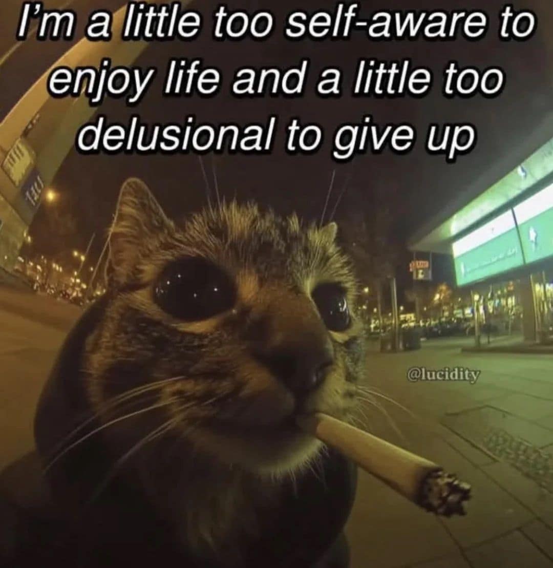 Hilarious meme of a smoking cat discussing the balance of self-awareness and delusion