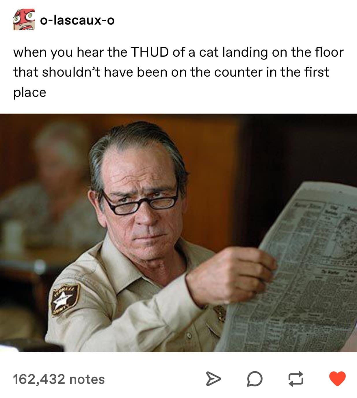 Funny meme showing a cat making a loud thud sound while landing.