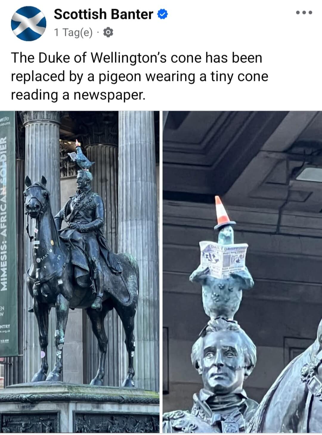 Funny meme showing a pigeon wearing a cone on the Duke of Wellington statue