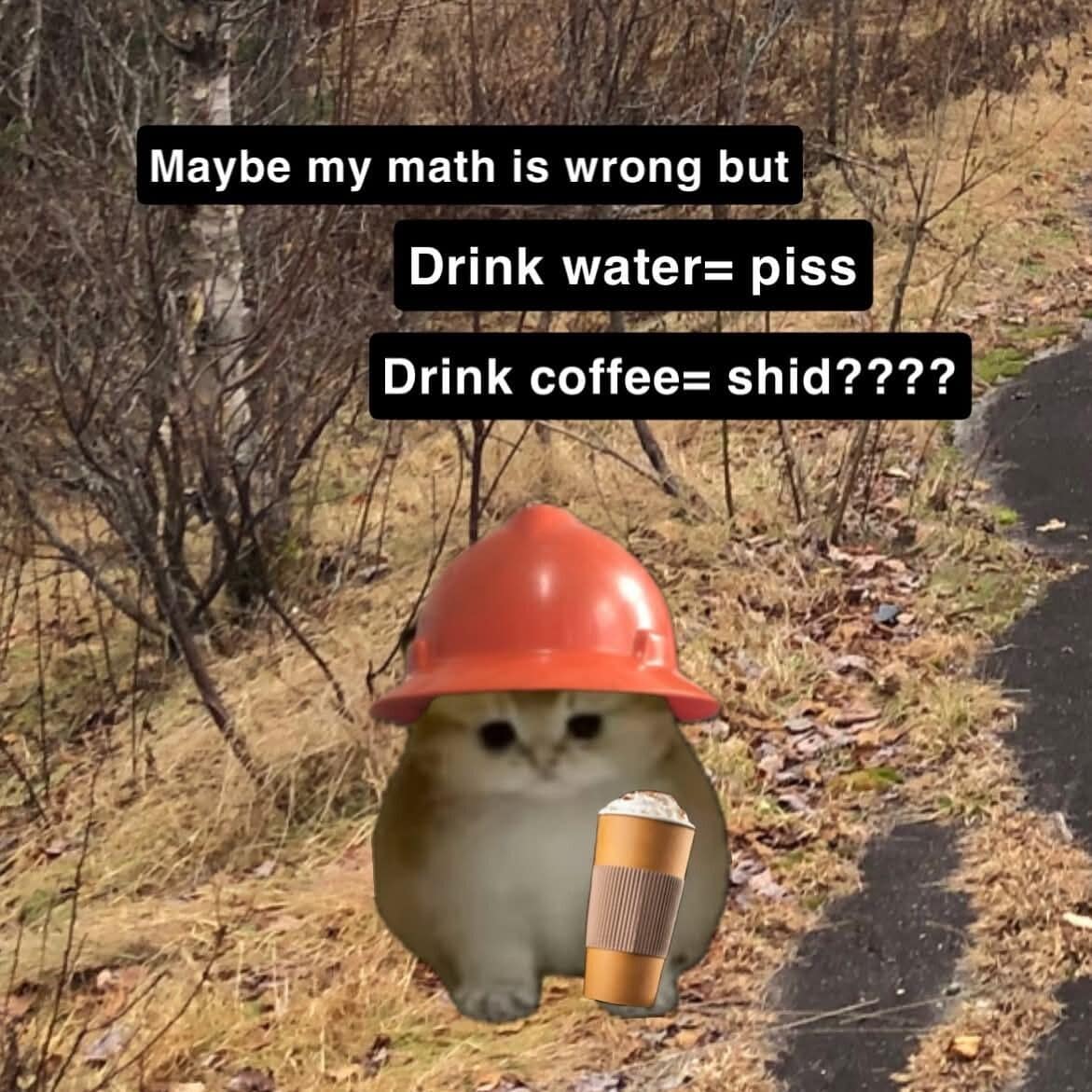 Construction cat funny meme doing bathroom math about coffee