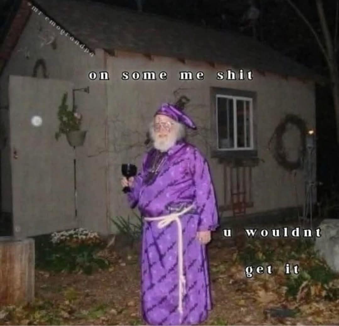 A funny meme of a wizard drinking wine, captioned "on some me shit, u wouldnt get it."