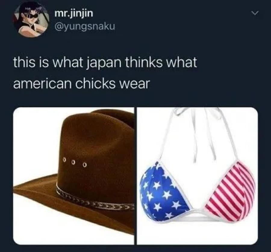 Funny meme comparing a cowboy hat to an American flag bikini.