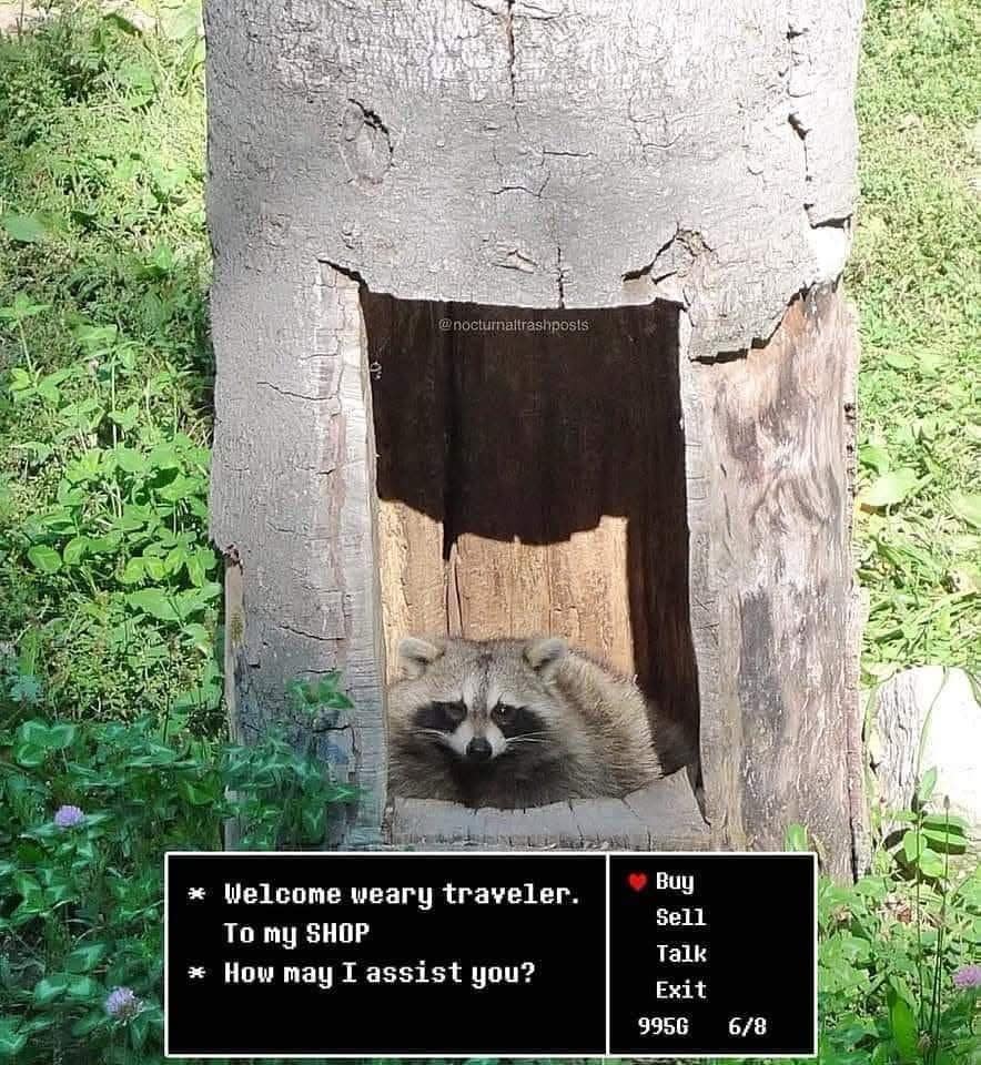 A funny meme of a raccoon in a tree hollow, edited with an RPG "shop" menu from a video game.