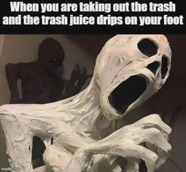 A funny meme with a screaming monster, explaining the feeling when trash juice drips on your foot.