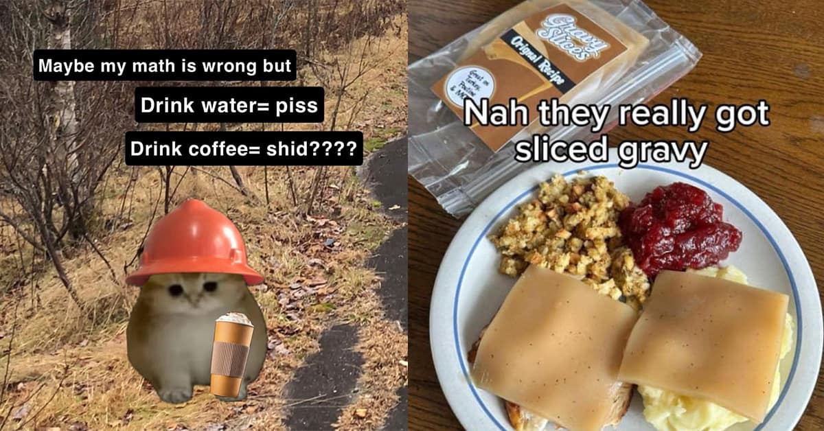 A compilation funny meme collection featuring the meme dump theme.