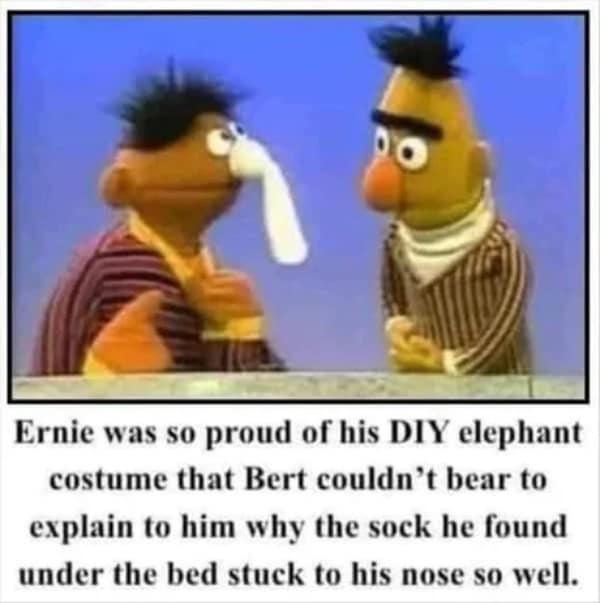 Bert and Ernie meme implying Ernie used a dirty sock for his elephant costume.