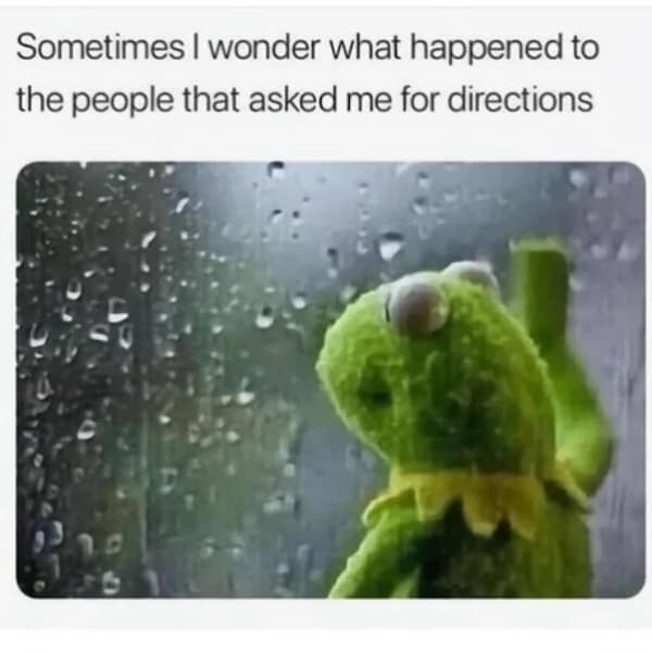 Kermit the Frog looking out a rainy window worrying about giving bad directions.
