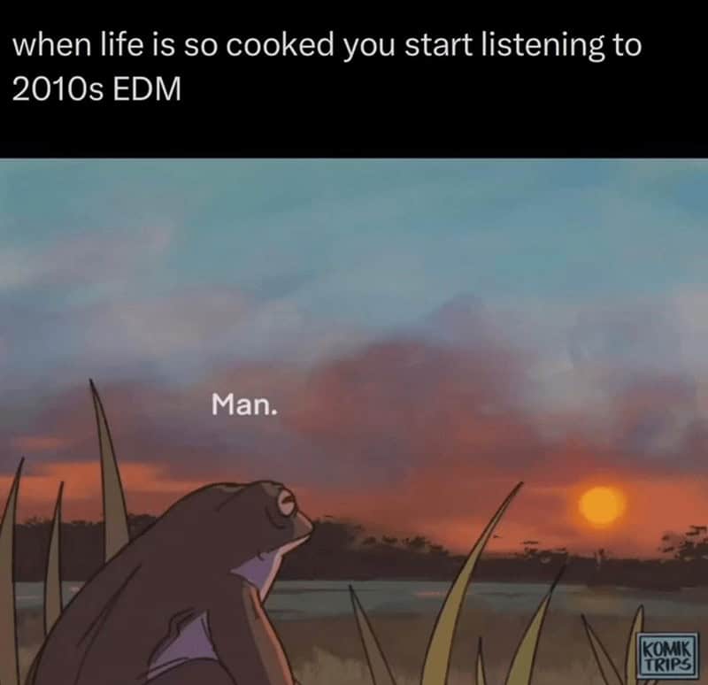 Frog looking at a sunset thinking "Man" in a music meme about 2010s EDM.