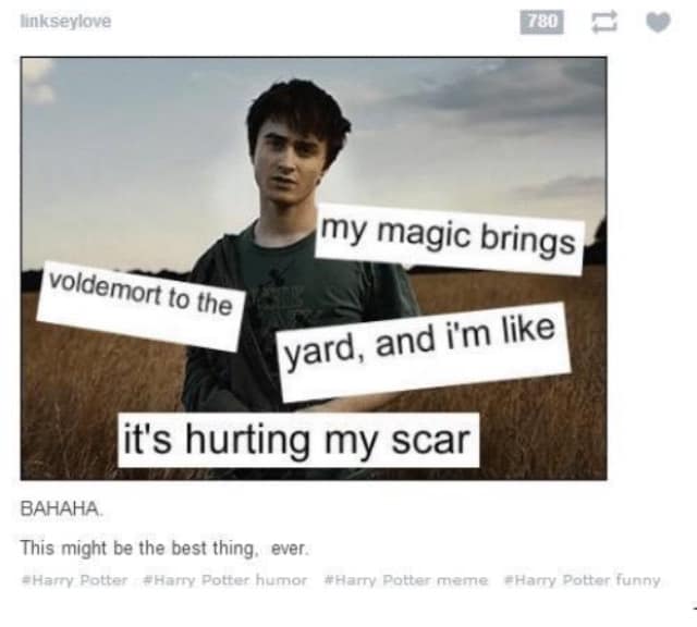 A "my milkshake brings all the boys to the yard" parody meme about Harry Potter and Voldemort.