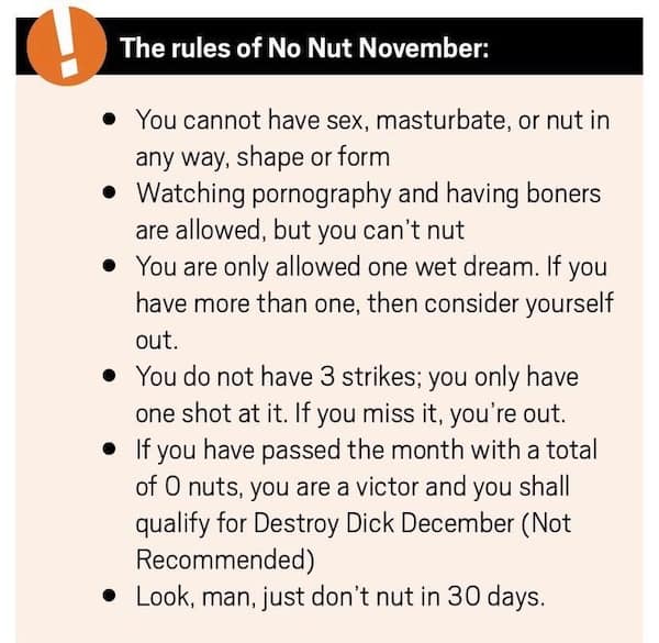 A list of the official fan-made rules for the "No Nut November" internet challenge, including the "Destroy Dick December" prize.