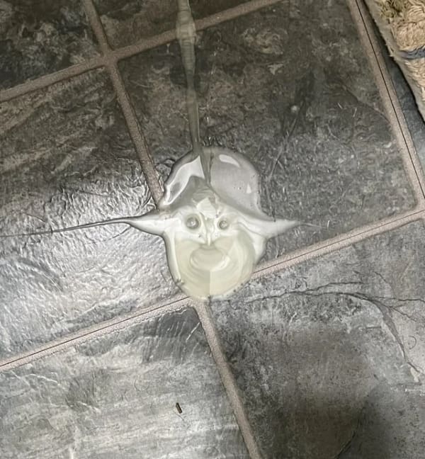 Spilled milk on a tiled floor forming the shape of Yoda's face.