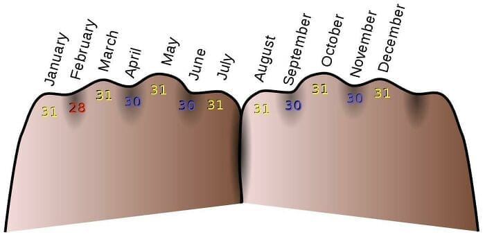 Illustration using hand knuckles to remember which months have thirty-one days.