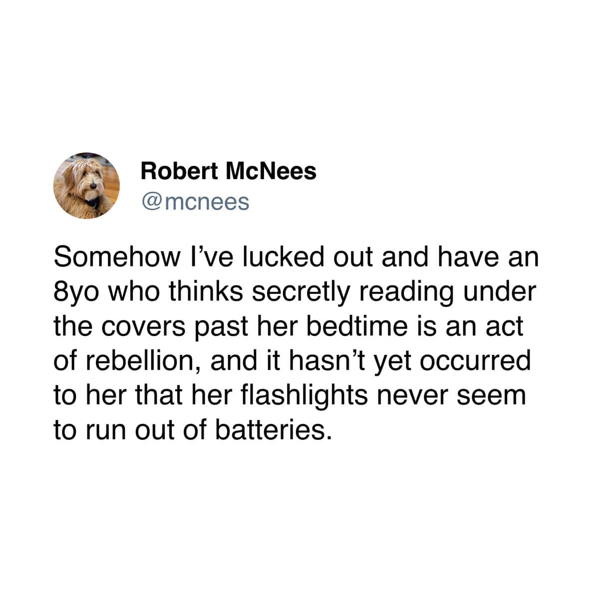 Parenting meme about secretly changing flashlight batteries so a child can read at night