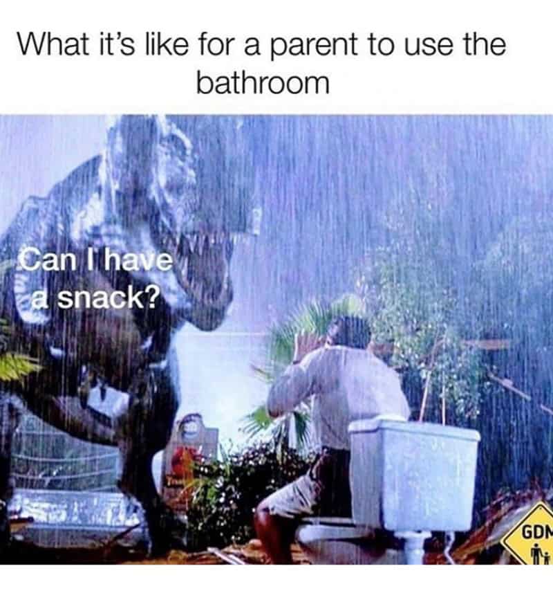Jurassic Park T-Rex attacking toilet user representing kids asking for snacks.