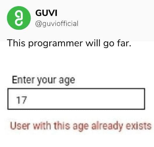 A funny programmer meme about an "age already exists" error on a website.