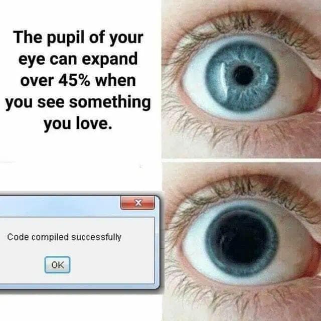 Programming meme showing pupils dilating when code compiles successfully