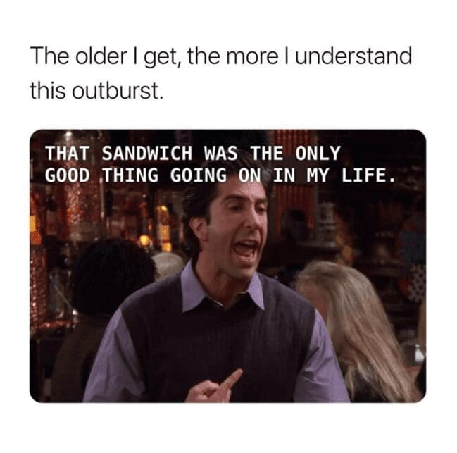 A Ross Geller Friends meme yelling his classic "my sandwich" line: "THAT SANDWICH WAS THE ONLY GOOD THING...