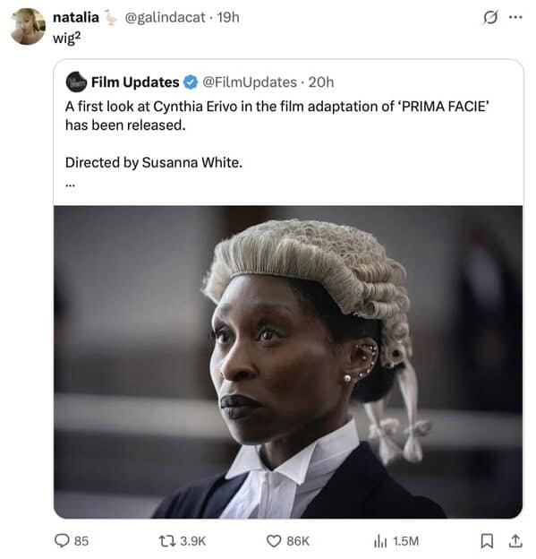 A savage roast of Cynthia Erivo's barrister wig in 'PRIMA FACIE', where the funny reply just says "wig?"