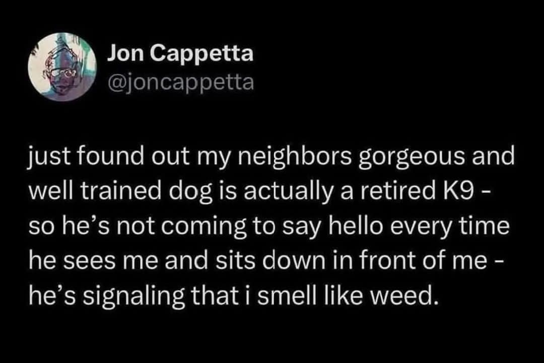 A stoner meme and viral tweet from a guy who realized the "well trained" K9 in his neighborhood is "signaling that i smell like weed."