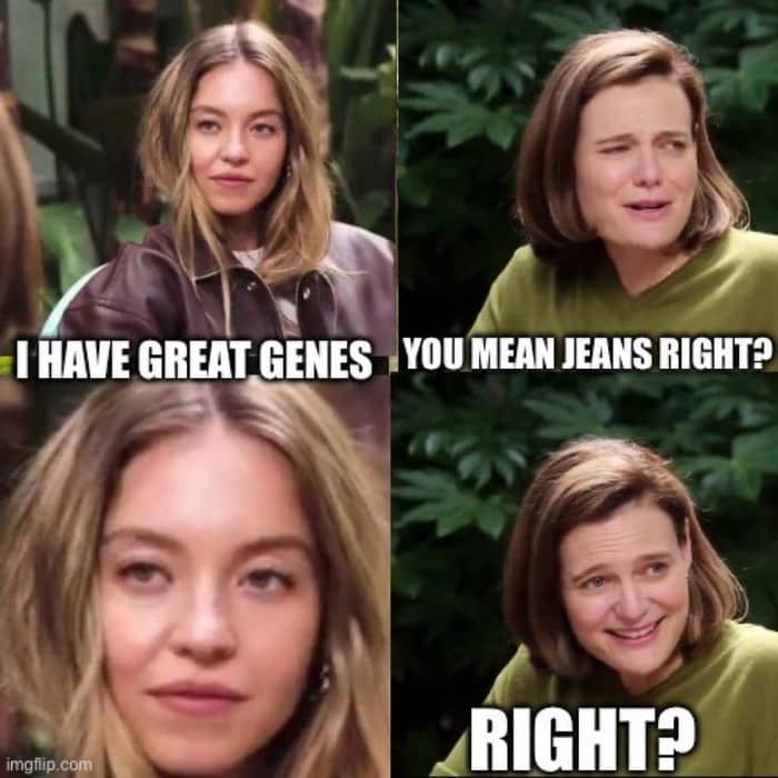 A funny Sydney Sweeney blank stare meme four-panel joke about the difference between "genes" and "jeans."