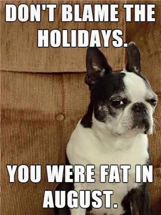 Thanksgiving meme 2025 featuring a dog reminding you that you were fat in August