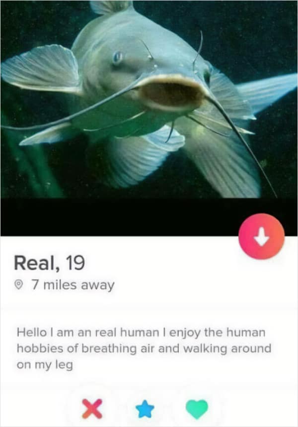 A funny Tinder shame profile of a literal catfish named "Real" claiming to be a "real human.