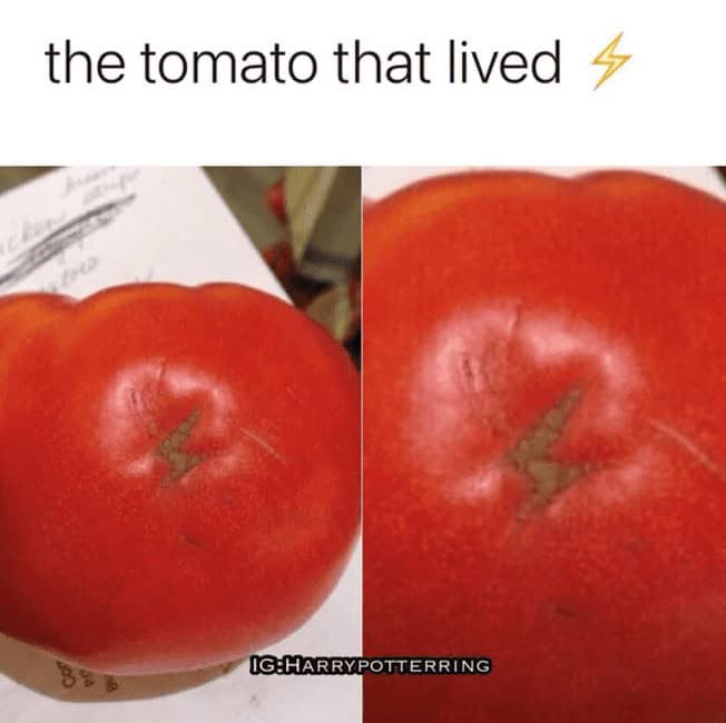 Funny Harry Potter tomato meme showing a tomato with a lightning bolt-shaped scar, "the tomato that lived."