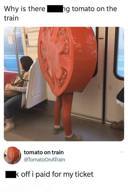 Funny tomato meme of a person in a giant tomato slice costume standing on a subway train.