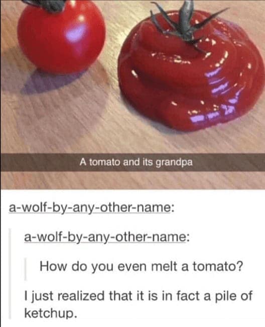 Funny tomato meme and Tumblr post about a user mistaking a pile of ketchup for a melted tomato.
