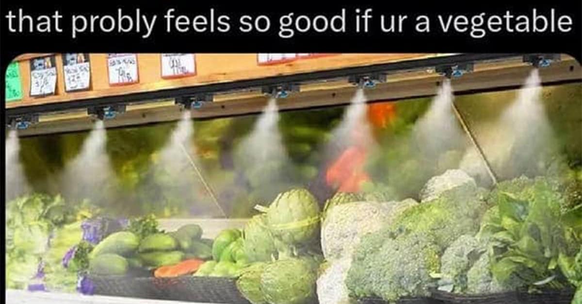 A collection of the best vegetable meme content trending this Thursday