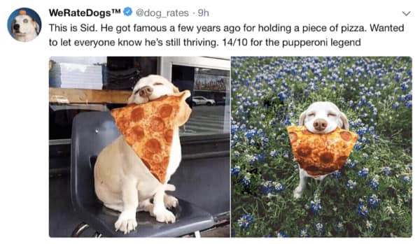 A wholesome meme from WeRateDogs, giving an update on Sid, the "pupperoni legend" dog who holds pizza.