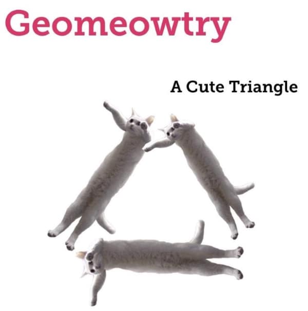 A wholesome meme pun "Geomeowtry," showing three white cats making "A Cute Triangle."