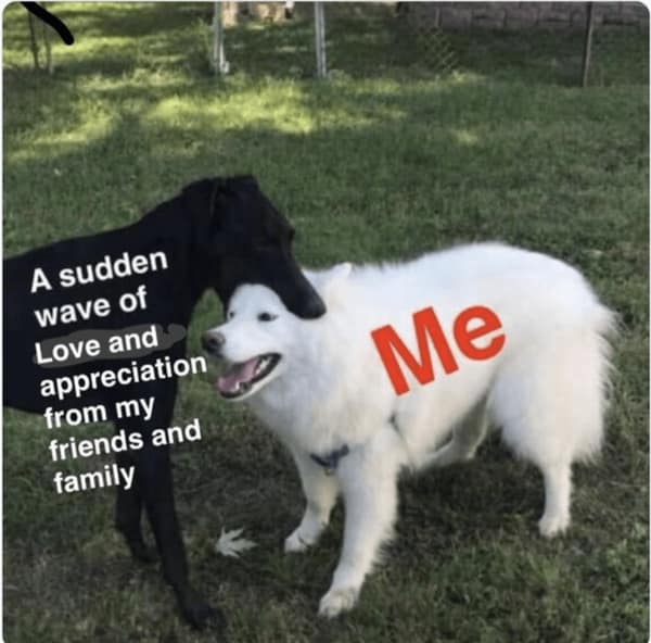 A wholesome meme of two dogs, where one dog ("a sudden wave of love") is gently biting "Me."