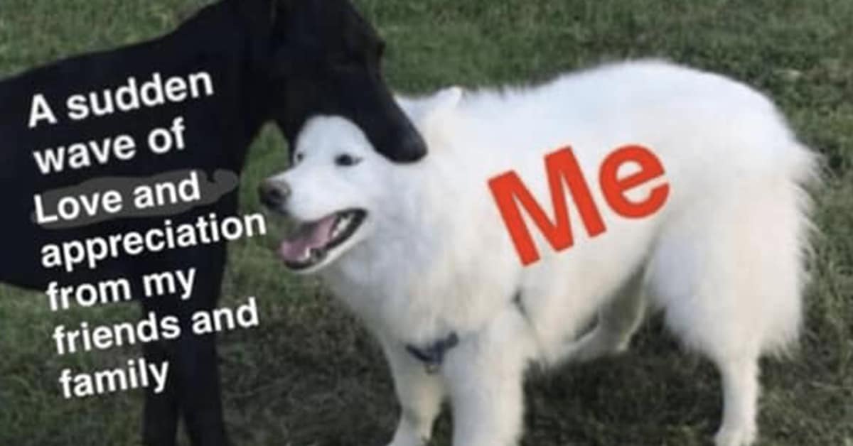 A gallery of the best, most wholesome memes to start your week off with a smile.