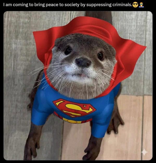 A wildlife meme of a raccoon looking shocked with its paws on its cheeks, like "The Scream" painting.