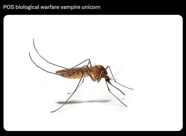 A funny wildlife meme of a seal laughing hysterically with its flipper over its mouth.