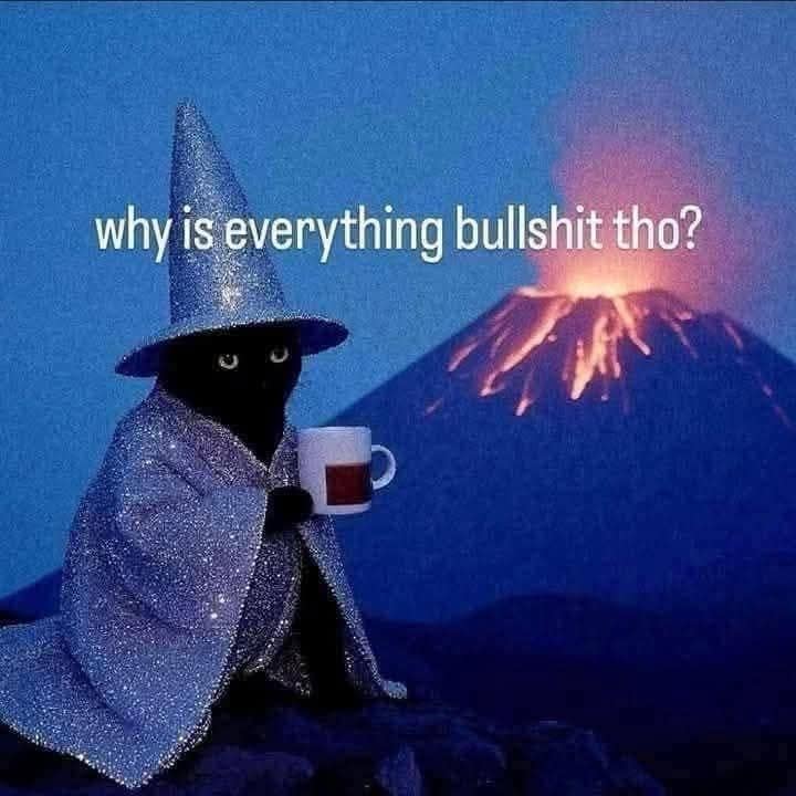 A classic wizard meme of a cat in a sparkly hat, sipping coffee in front of a volcano, asking "why is everything bullshit tho?"