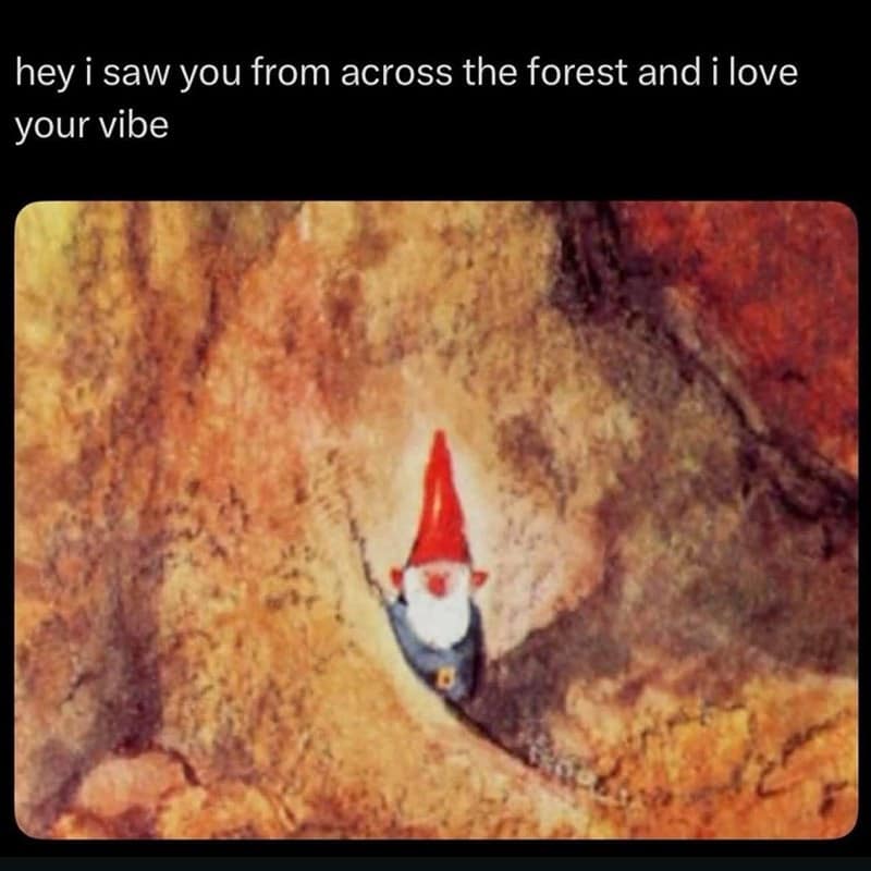 A funny wizard meme of a small gnome in a cave, captioned "hey i saw you from across the forest and i love your vibe."