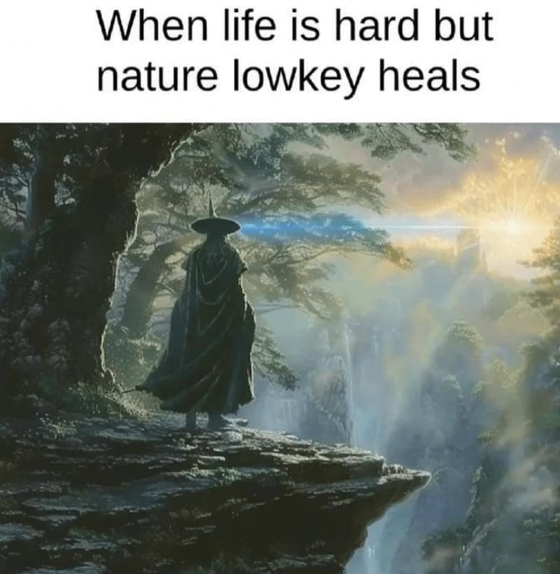 A peaceful wizard meme of a wizard looking over a fantasy landscape, captioned "when life is hard but nature lowkey heals."