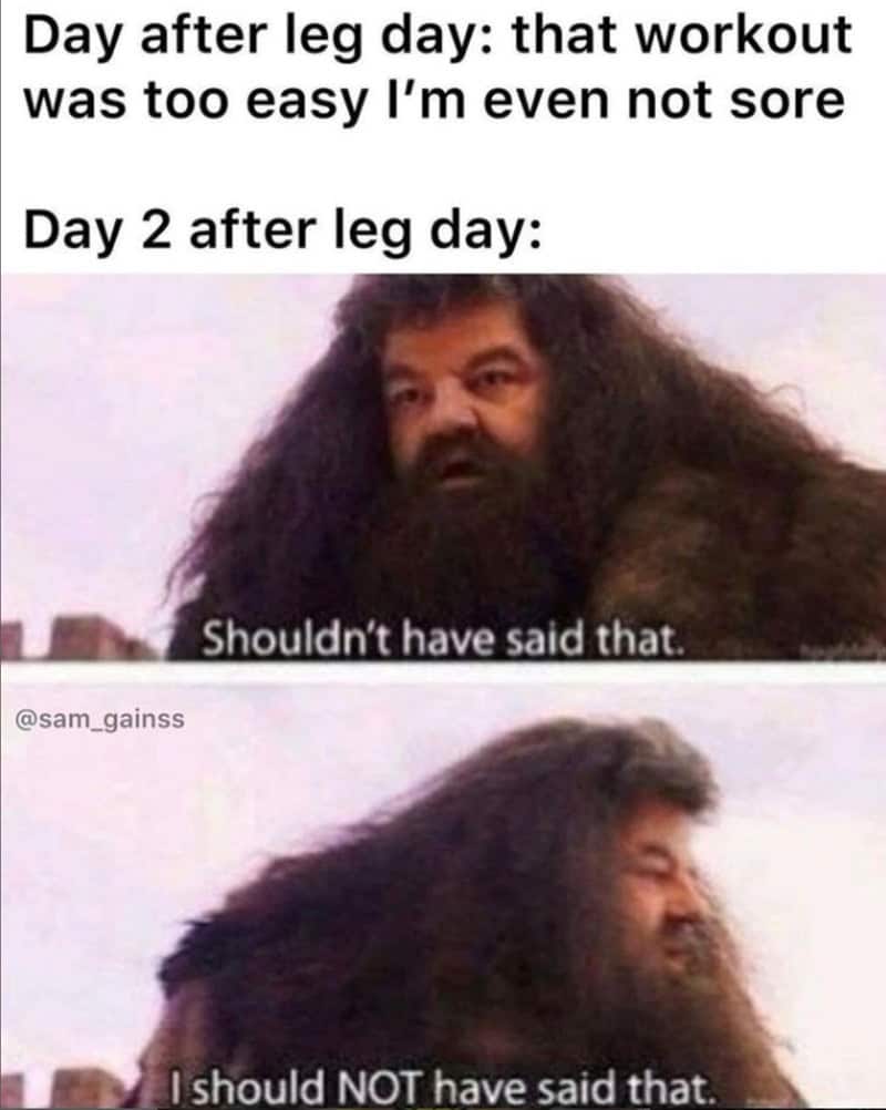 Hagrid from Harry Potter regretting saying leg day was easy due to delayed soreness.